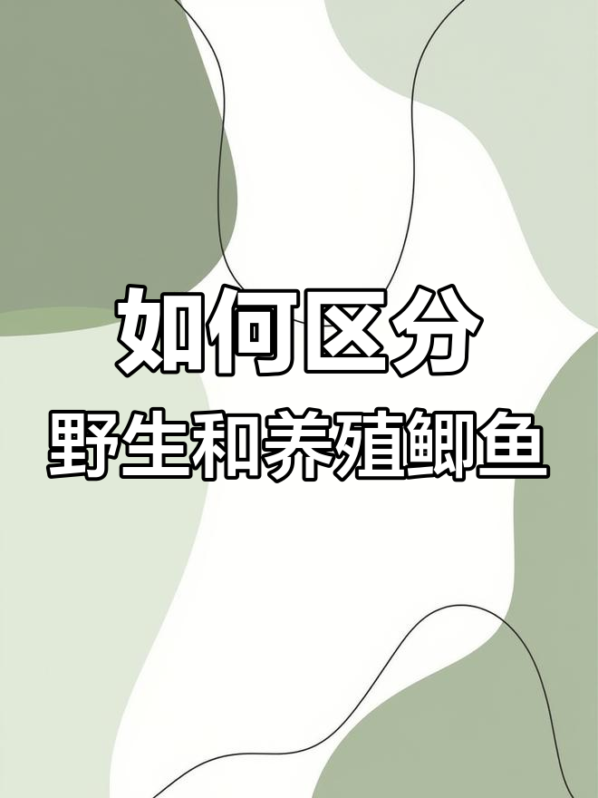 野生与养殖鲫鱼的区别解析