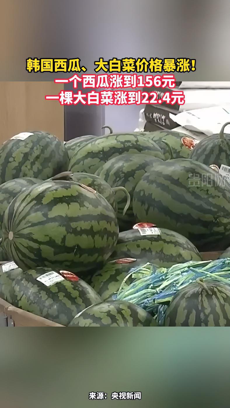 韩国西瓜、大白菜价格暴涨!一个西瓜涨到156元,一棵大白菜涨到22.4元!韩国物价 西瓜 