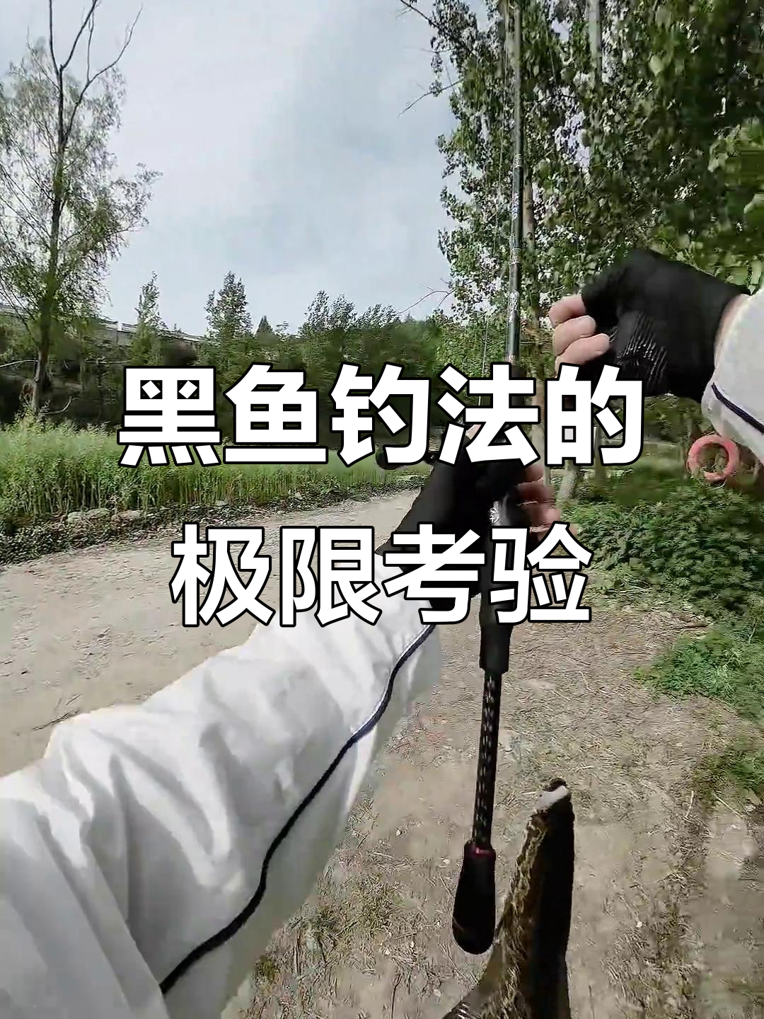 打黑溜鱼犯法?硬碰硬的钓鱼挑战