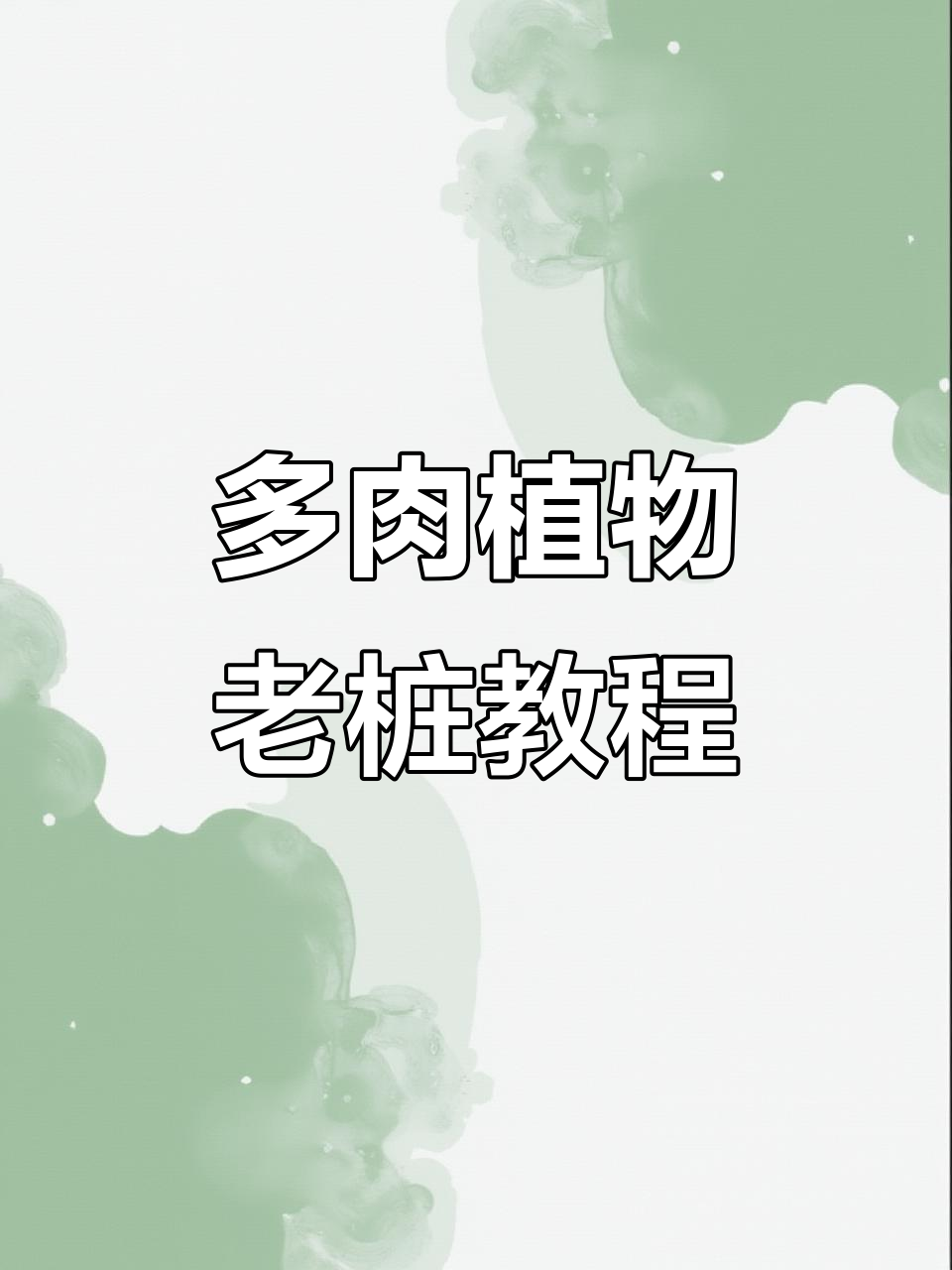 轻松制作多肉植物老桩,步骤详解!