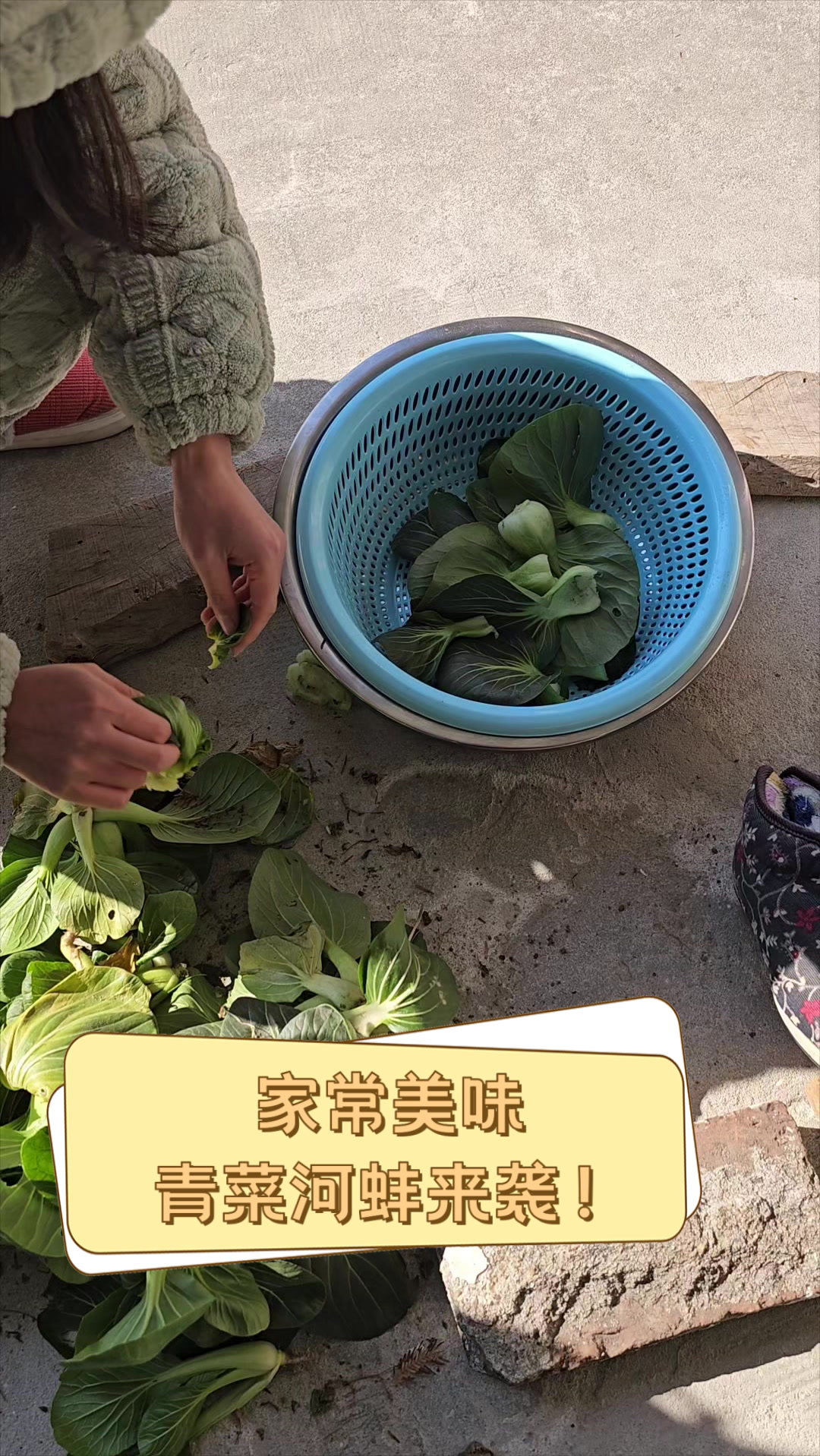 家常美味，青菜河蚌来袭！