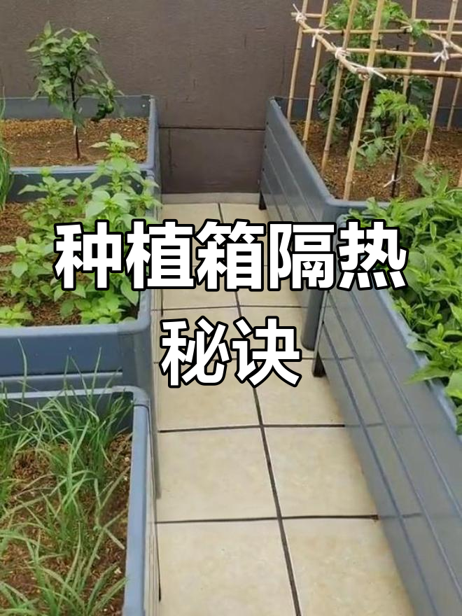 铝合金种植箱隔热效果显著,蔬菜瓜果依旧生机勃勃!