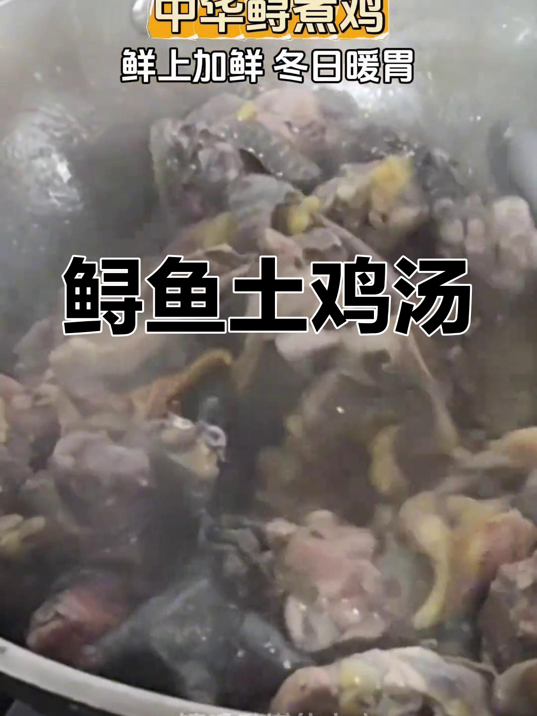 中华鲟与土鸡炖煮,简单又美味,值得一试!