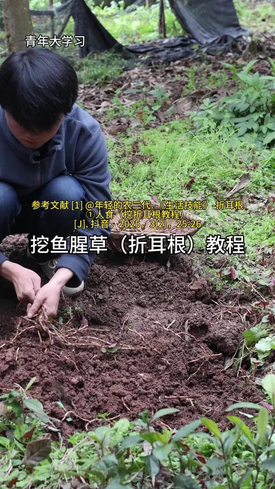 挖折耳根咯!