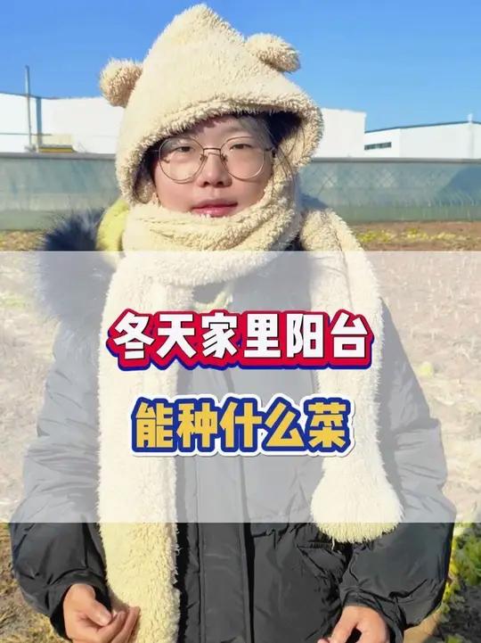 冬天家里能种什么菜?