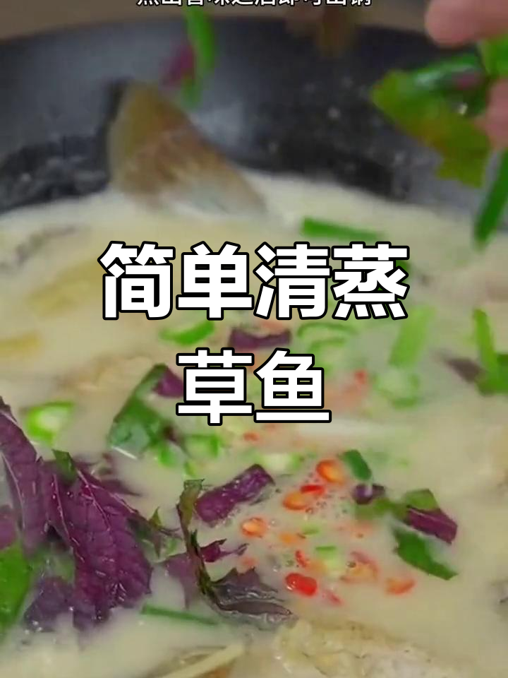 清炖草鱼汤,家常做法轻松学