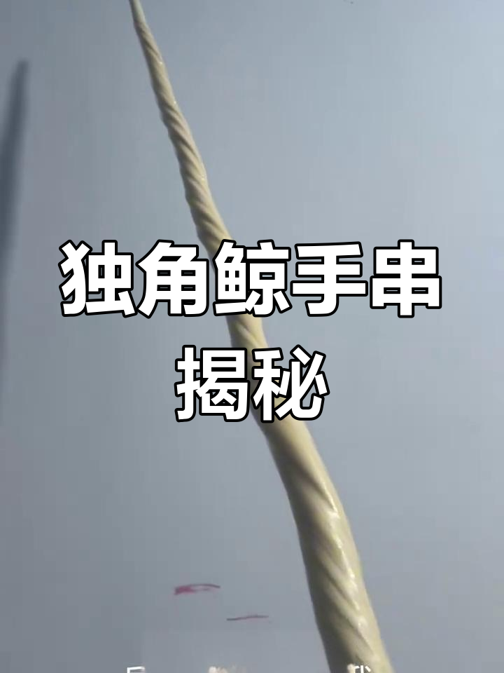 独角鲸手串背后的故事:养殖?濒危动物能养吗