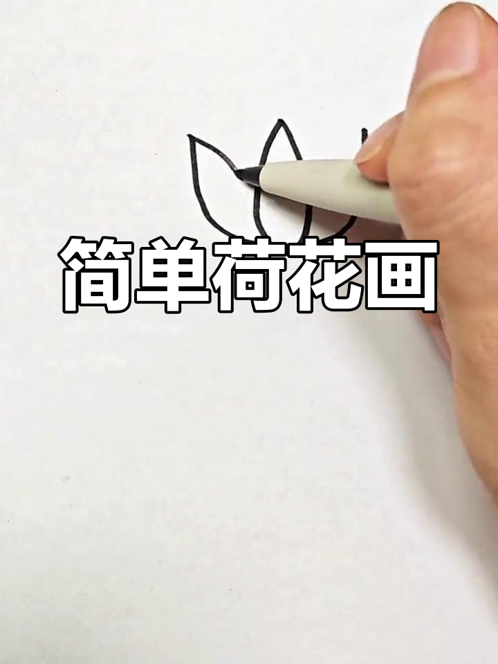 夏日荷花简笔画,轻松学会