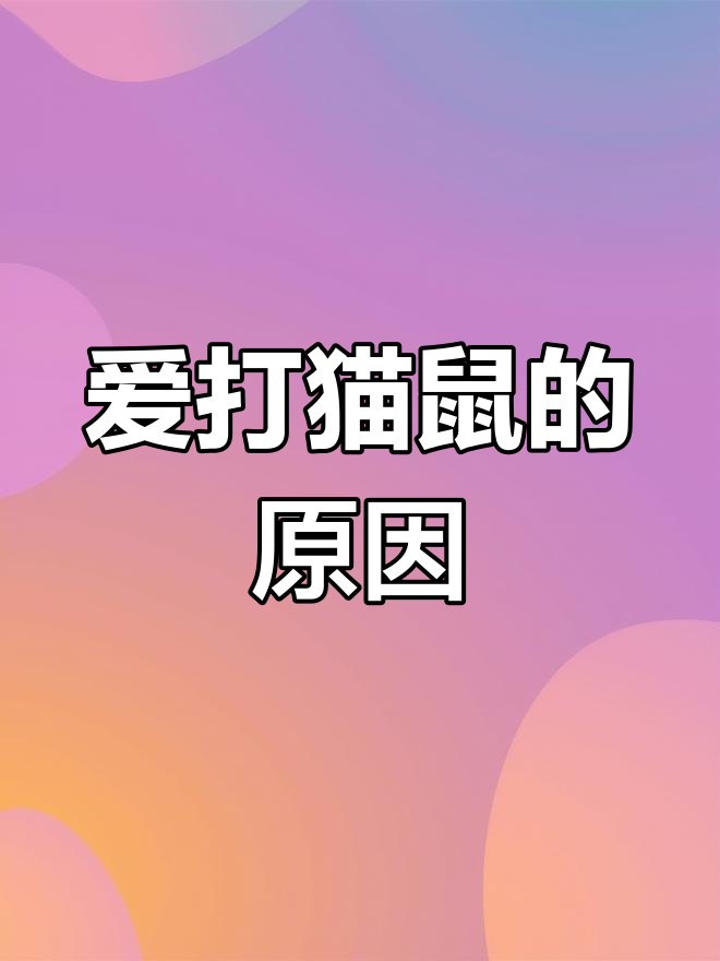 为什么爱玩猫和老鼠?答案竟然是这个!