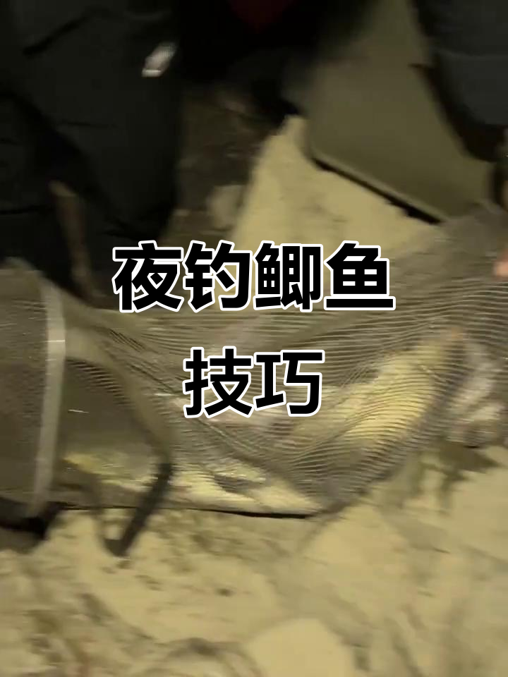 夜钓鲫鱼,选小钩细线更精准,秋冬必备搭配!