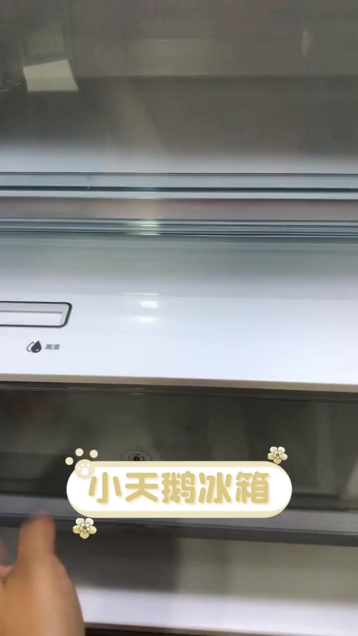 小天鹅冰箱