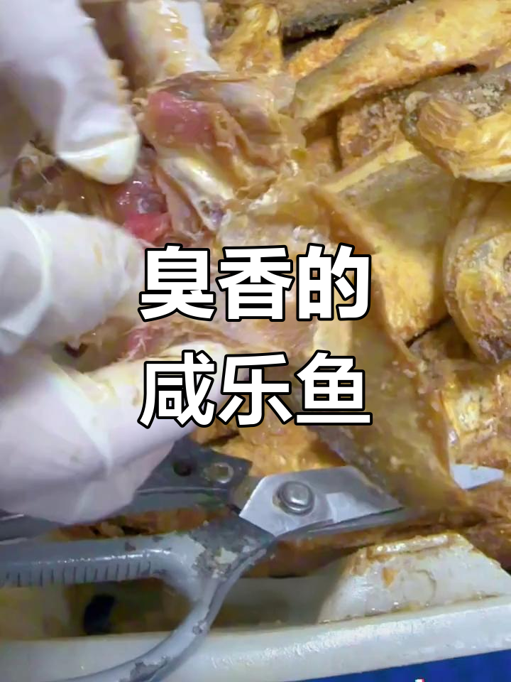 宁波人最爱的咸鳓鱼,闻味知香