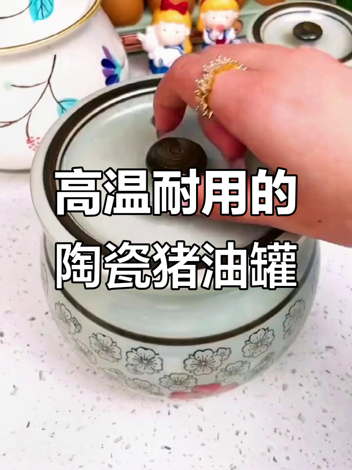 陶瓷猪油罐,高温耐用,微波炉烤箱都能进