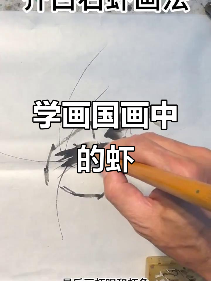 齐白石虾画技巧大揭秘，零基础也能轻松学会