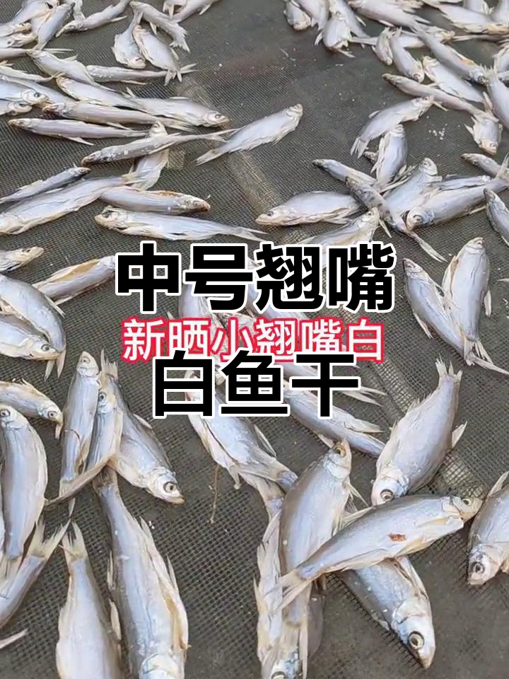 翘嘴白鱼干晒制技巧,家乡味满满