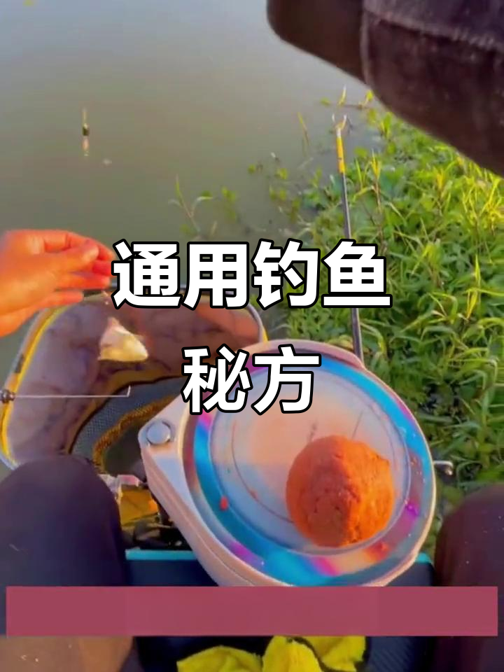 丸九滑口鲫鱼配方,野钓竞技皆适用