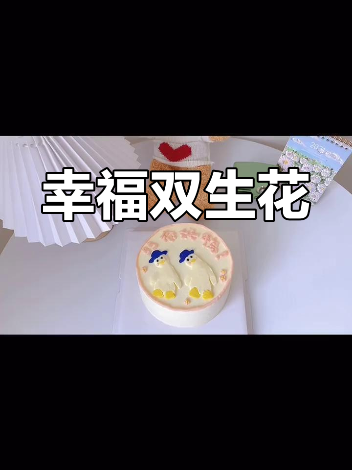 双胞胎姐妹的生日蛋糕,一起长大看世界