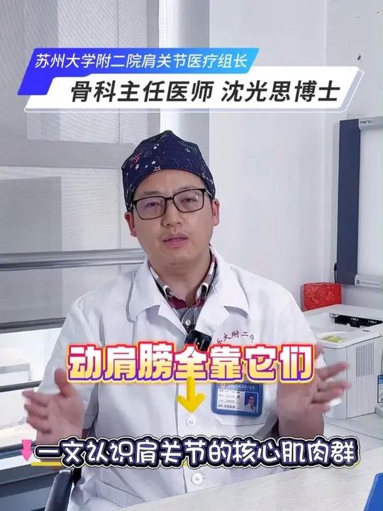 动肩膀全靠它们!一文认识肩关节的核心肌肉群