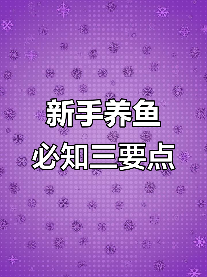 金鱼翻肚、孔雀团灭,新手养鱼的三大致命误区