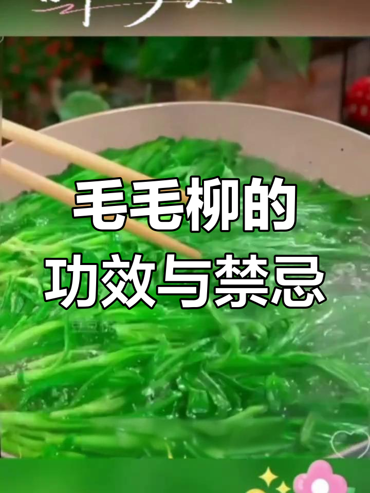 毛毛柳能润肠通便,但脾胃虚寒者不宜过量食用