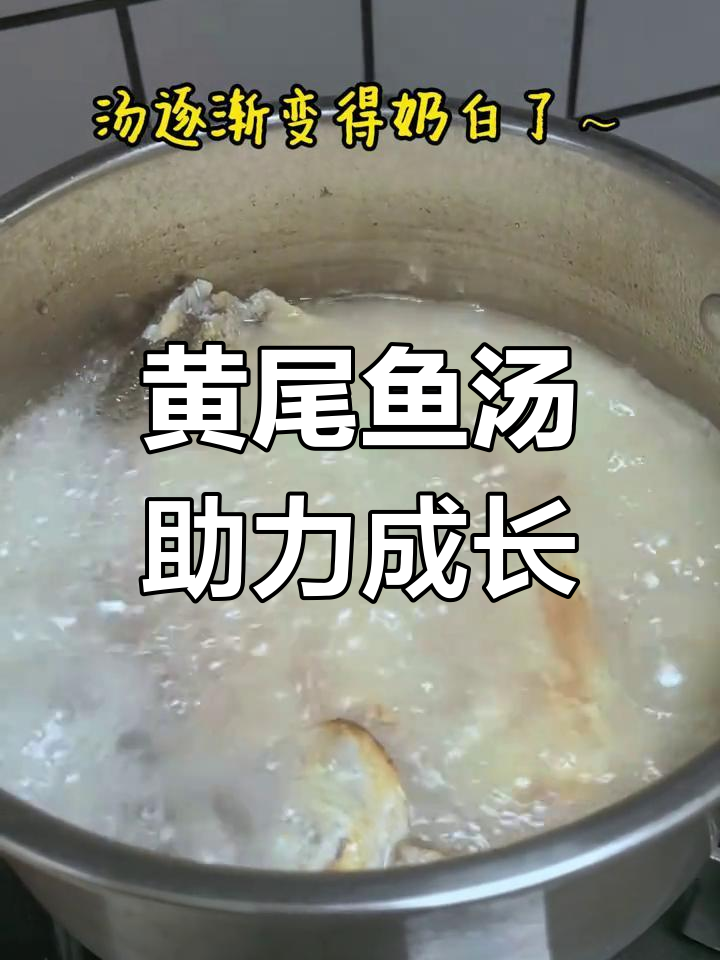 春季黄尾鱼汤,营养美味,孩子长高必备!