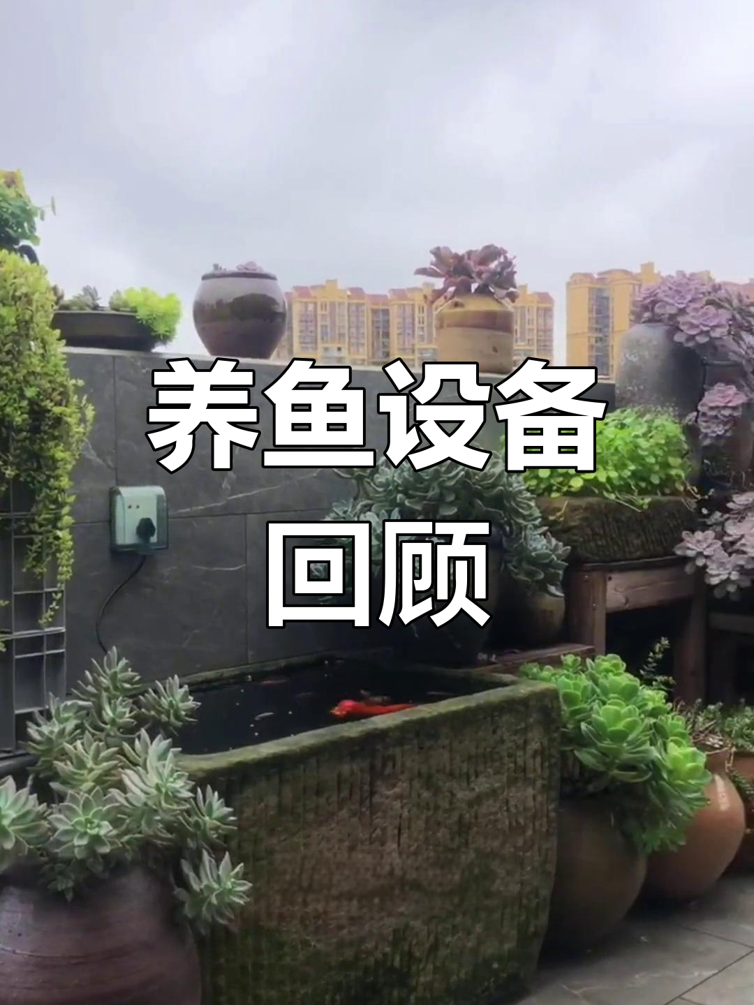 近期养鱼设备盘点:过滤系统与大瓦盆设计