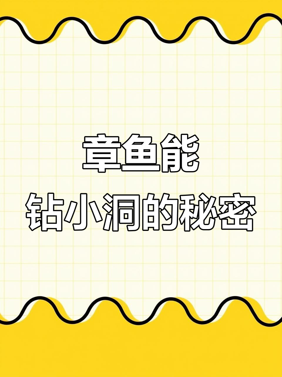 章鱼如何钻进小洞？揭秘它的神奇能力
