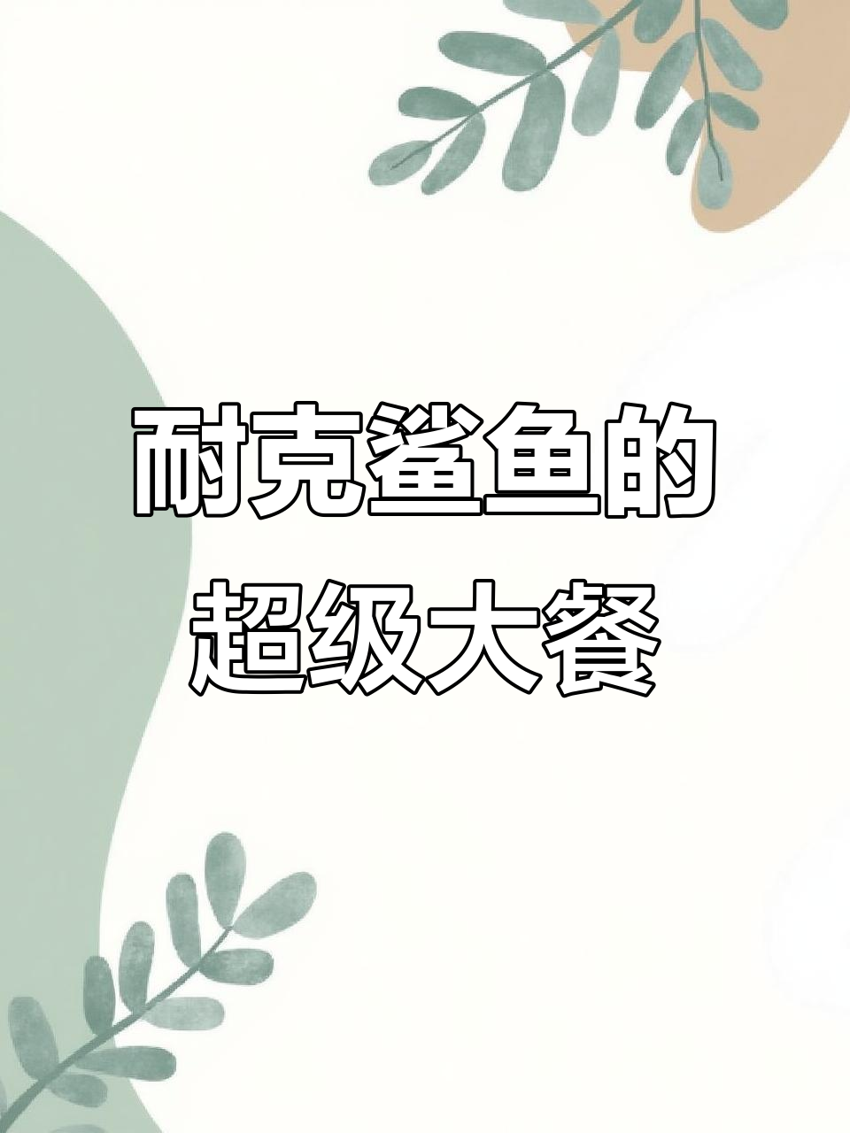 耐克鲨鱼大餐来袭,男生女生都能吃到超美味!