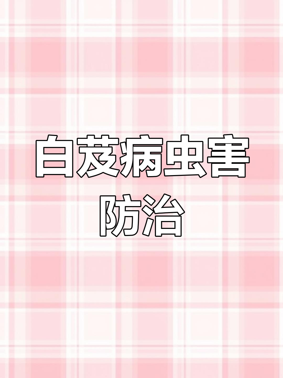 白芨三大病害防治全攻略,选对药轻松搞定