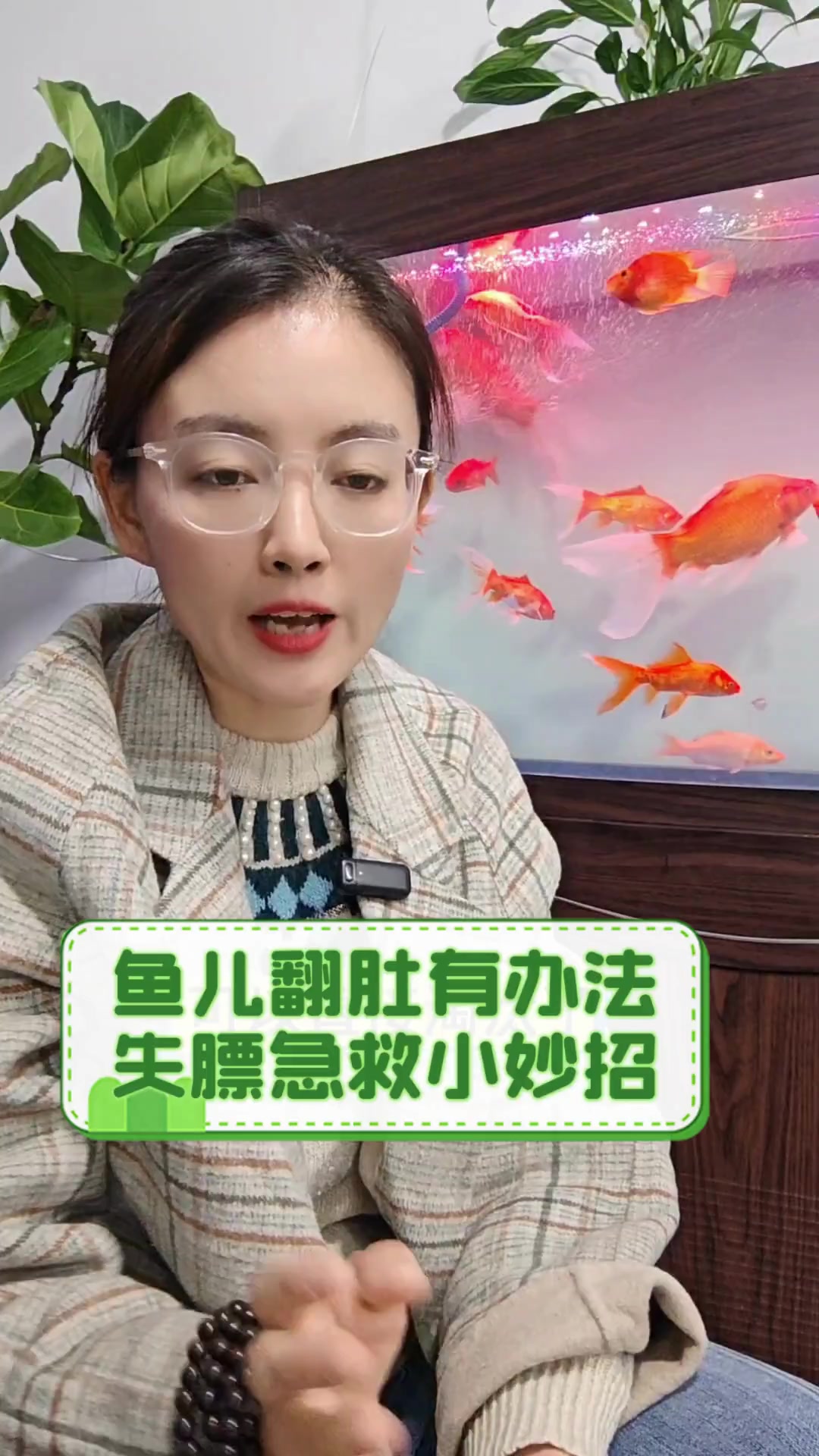鱼儿翻肚有办法,失膘急救小妙招