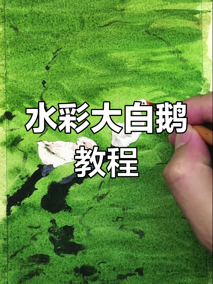 简单水彩大白鹅画法,轻松入门