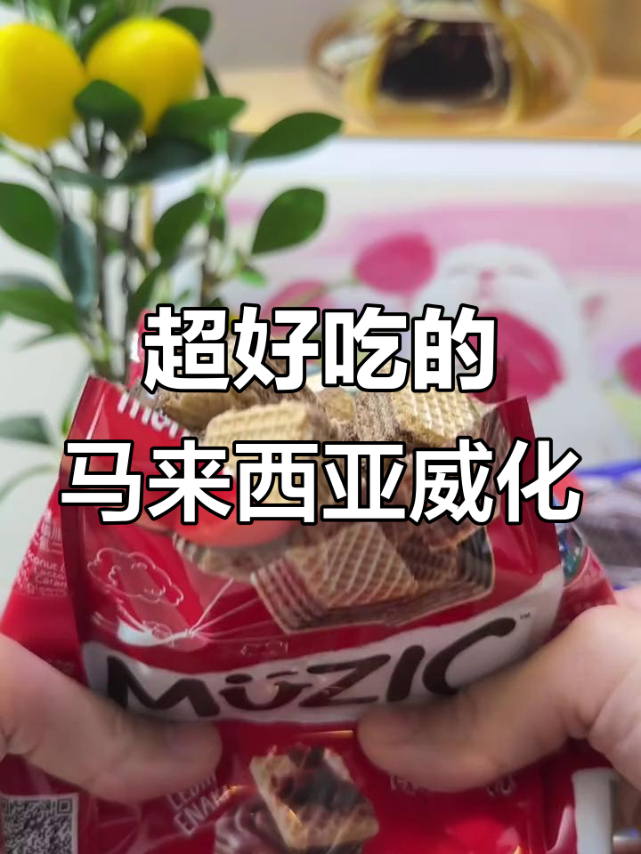 这款马来西亚威化,酥松香浓,一口接一口停不下来