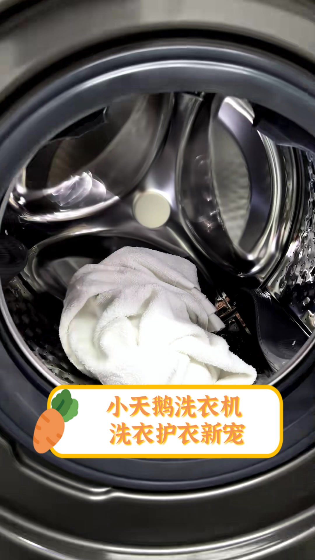 小天鹅洗衣机，洗衣护衣新宠