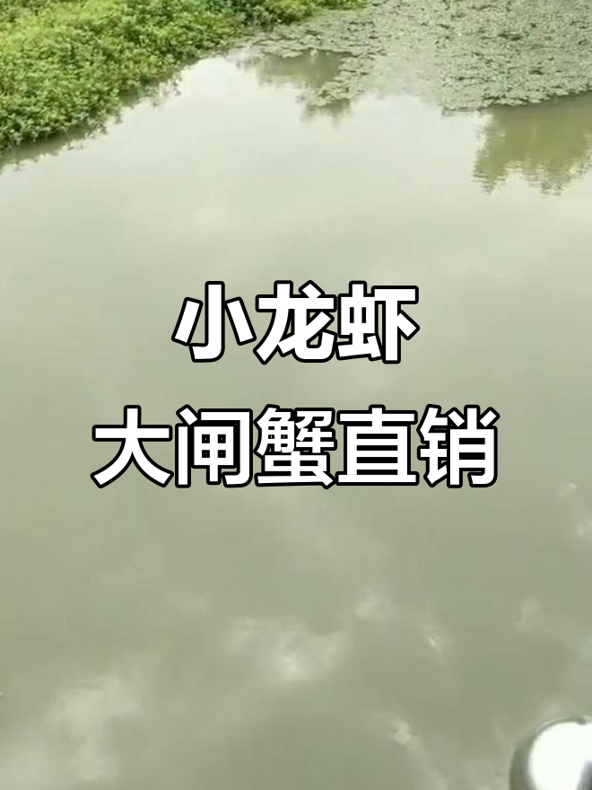 小龙虾大闸蟹养殖基地，直供批发市场，价格实惠品质保障