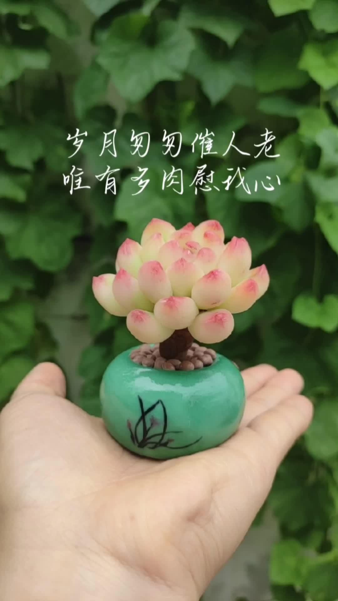 唯有多肉慰我心～行星丸 超轻粘土手工 手工diy 手工
