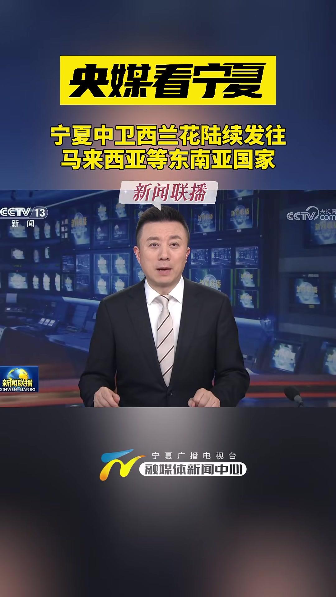 央媒看宁夏丨宁夏中卫西兰花陆续发往马来西亚等东南亚国家 宁夏 冷凉蔬菜