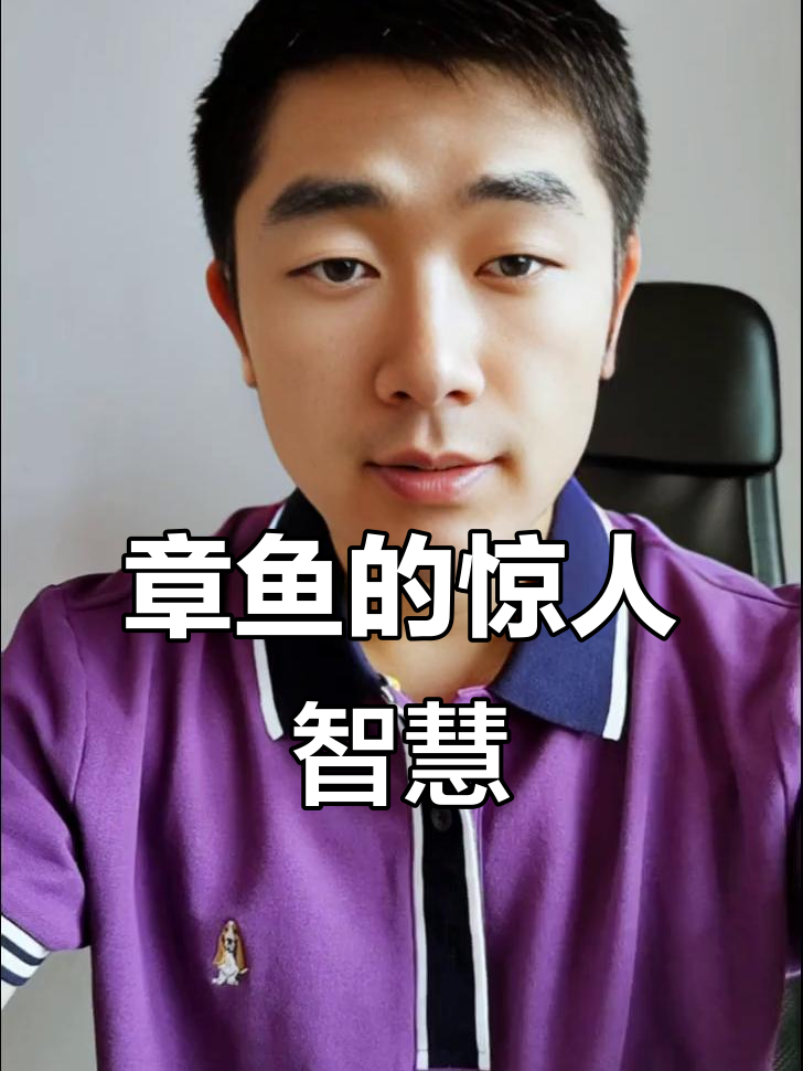 章鱼有9个大脑,3颗心脏,智商堪比人类