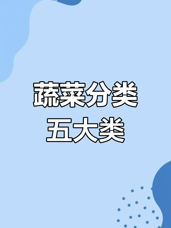 蔬菜的食用器官大揭秘:根茎叶花果全解析