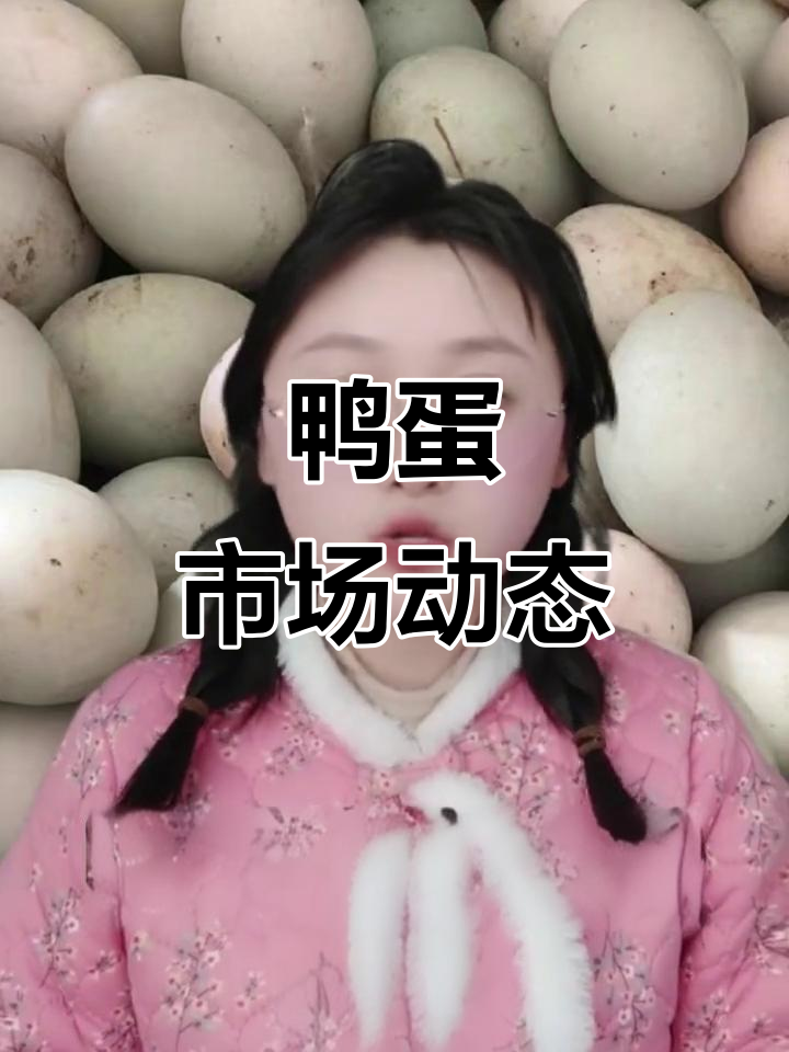 2023年12月15日鸭蛋价格及淘汰老鸭与青年鸭行情分析