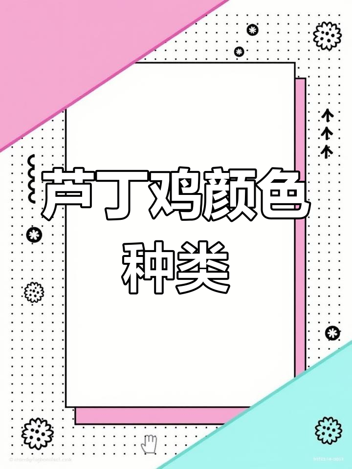 芦丁鸡品种全解析