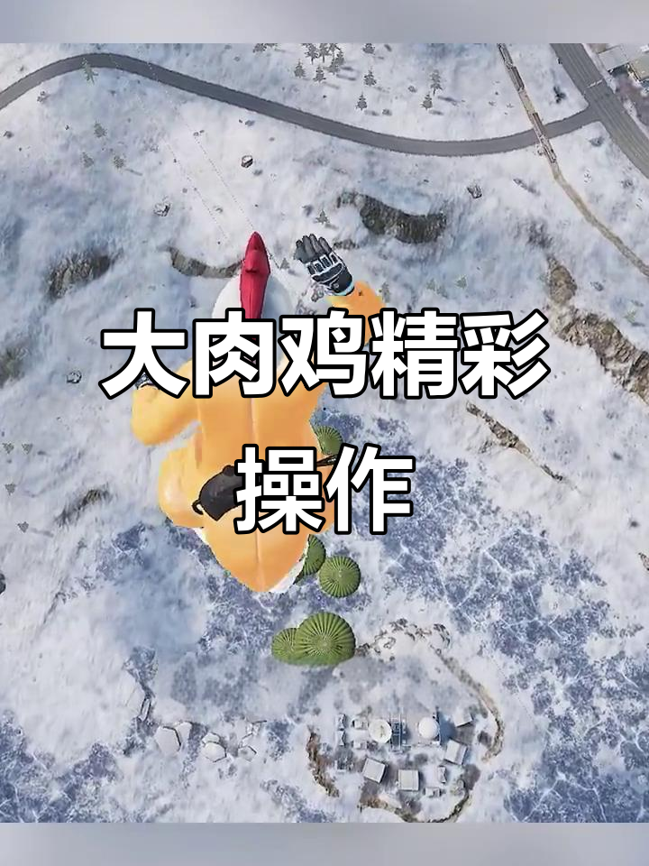 大肉鸡飞上飞机,平底锅精准击落滑翔机!