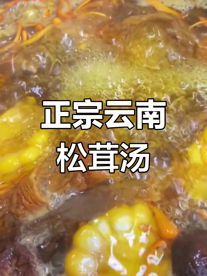 云南松茸菌汤包,炖出正宗美味,秋冬必备家常汤
