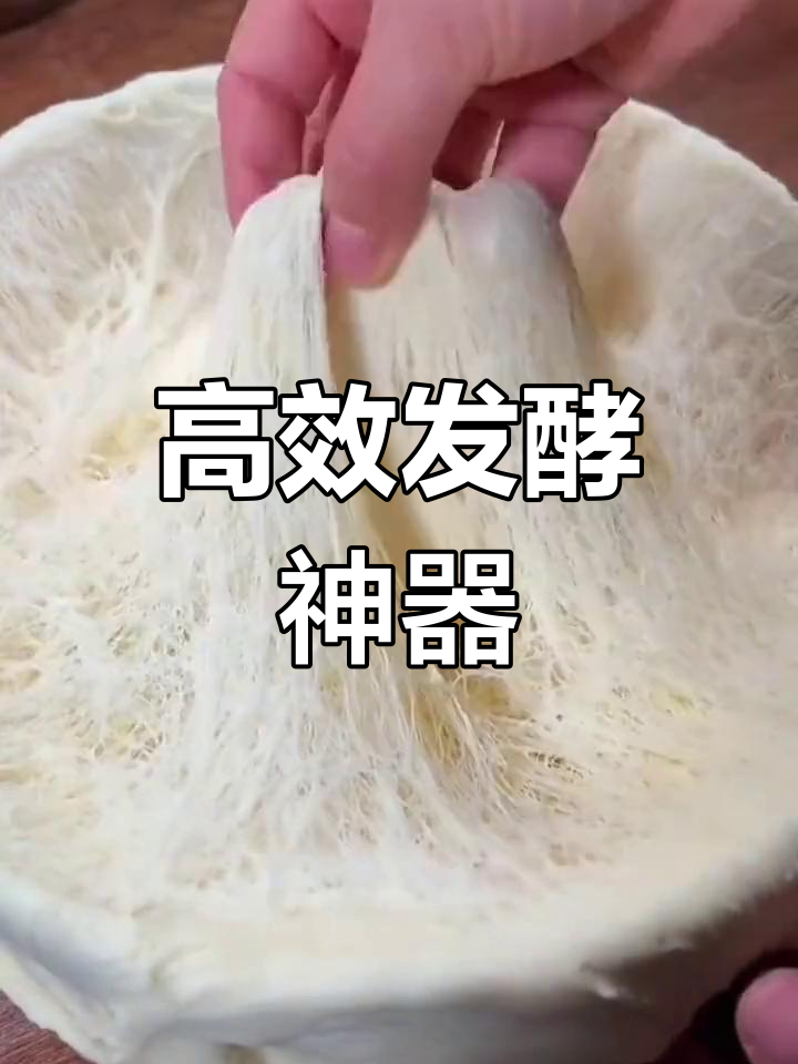 高活性酵母粉,快速发面蒸馒头