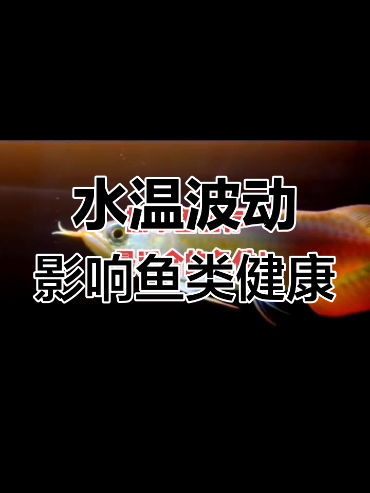 热带鱼对水温的要求与变化