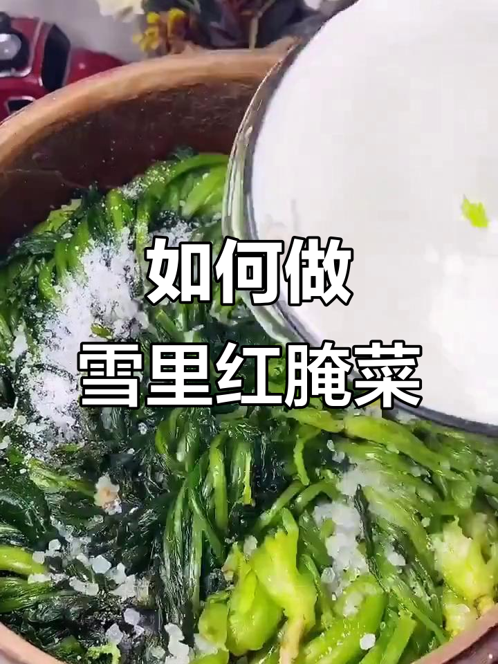 雪里红腌制技巧大揭秘,轻松做出美味冬季腌菜