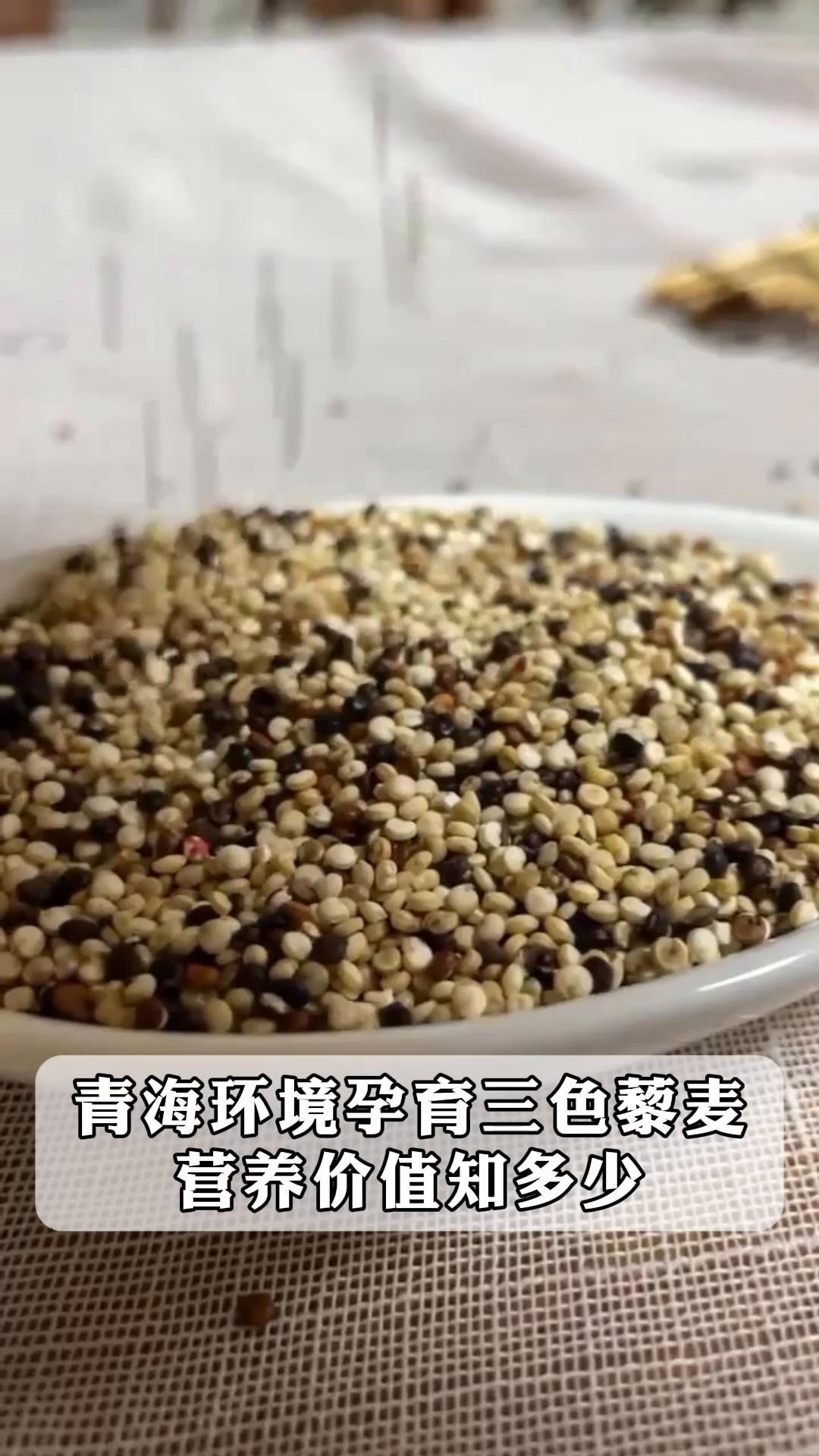青海环境孕育三色藜麦,营养价值知多少?