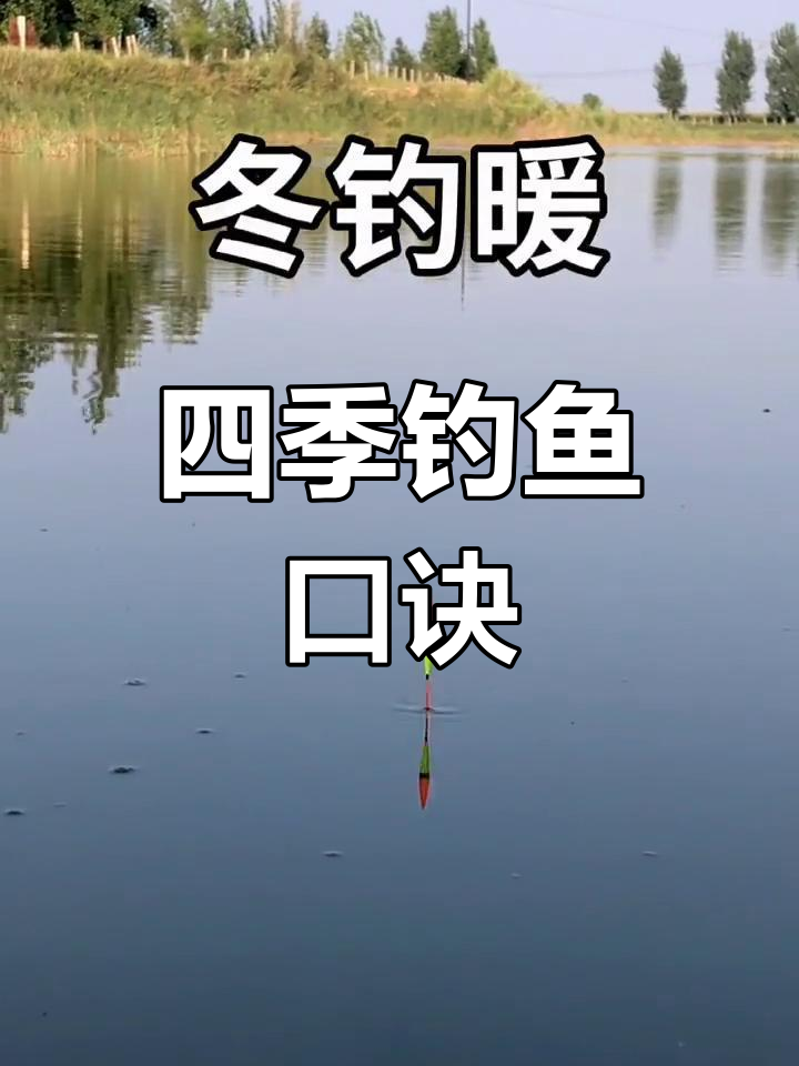 四季钓鱼技巧大揭秘,选对钓位轻松上钩