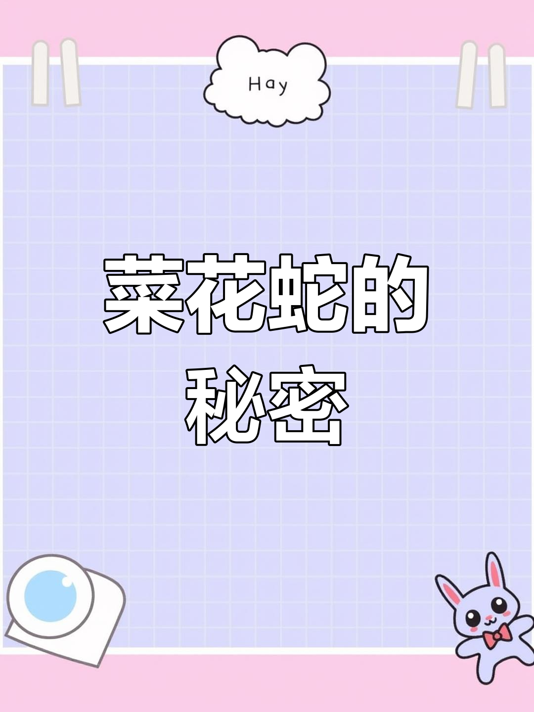 无毒菜花蛇,为何能称霸百蛇?它有何独特之处?