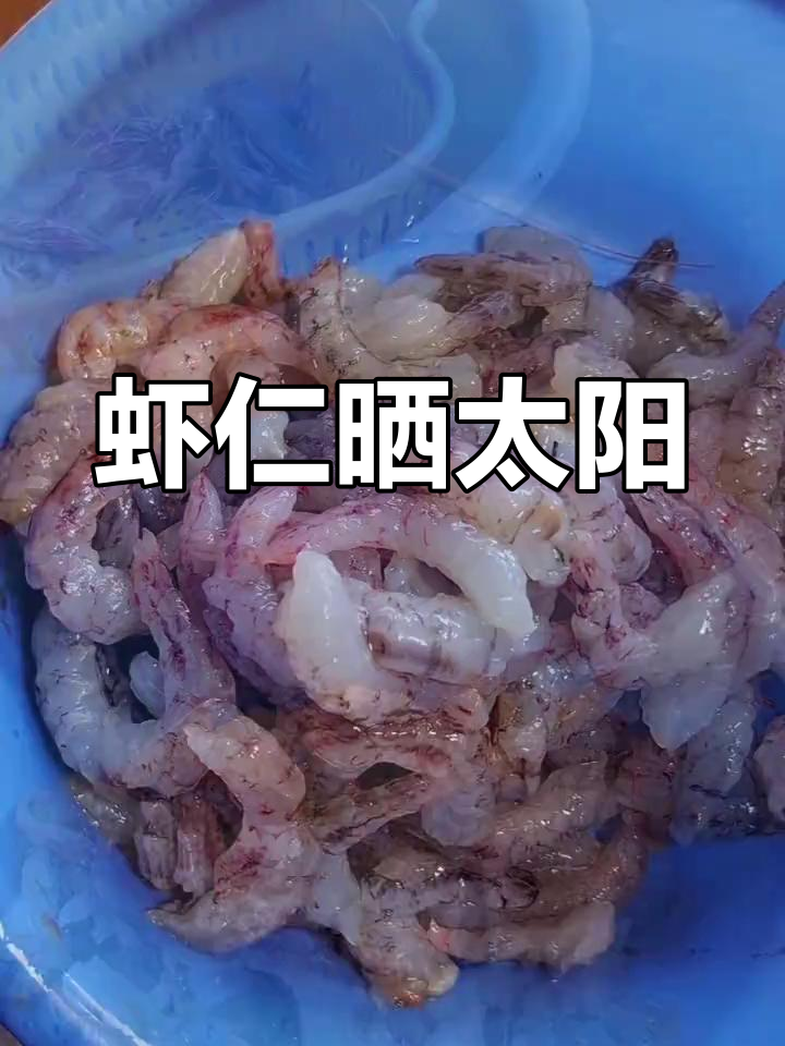 阳光正好,虾仁晒干正当时!