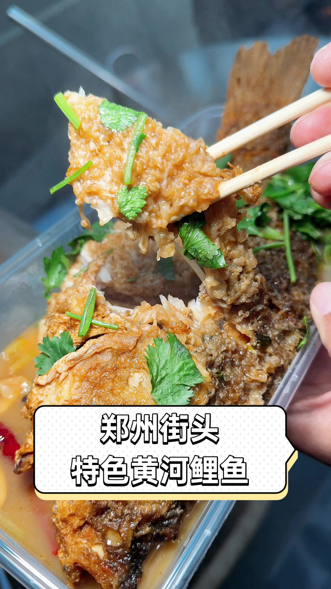 郑州街头特色黄河鲤鱼